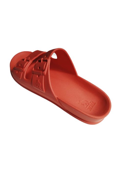 image-e74eb95340be4edb82ff39eb28363d3b