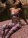 I25MC02EA_FLRWI_1-MACACAO-RUTH