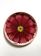 JAY09_BORD_1-PRATO-SOBREMESA-FLOR-BORDO