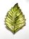 JAY19_0093_2-PRATO-APOIO-FOLHA