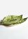 JAY19_0093_4-PRATO-APOIO-FOLHA