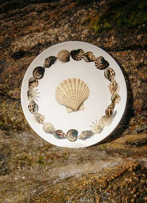 JAY23_00087_1-PRATO-RASO