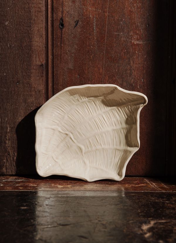 JAY31_004_1-BOWL-CONCHA-ABERTA