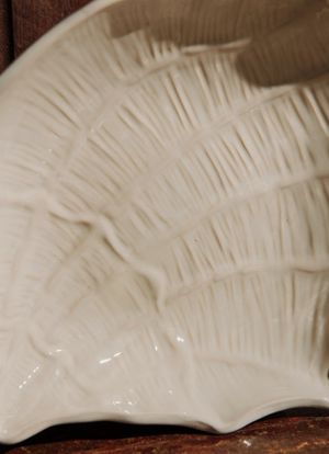 JAY31_004_2-BOWL-CONCHA-ABERTA