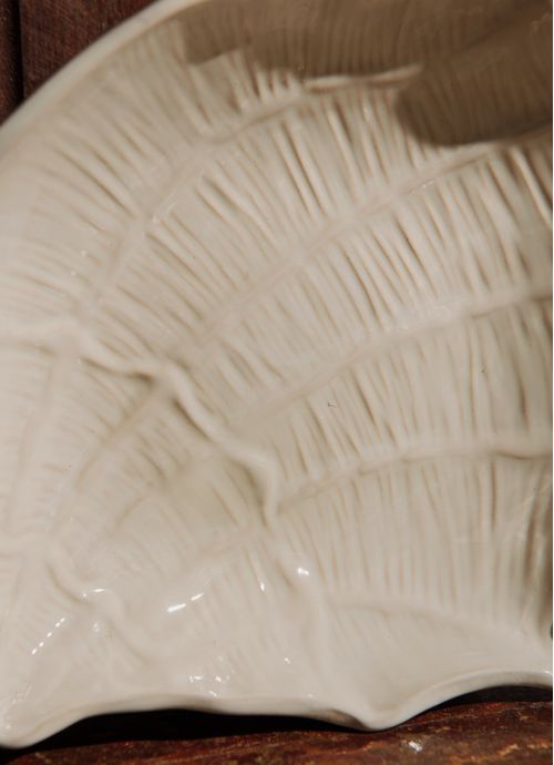 JAY31_004_2-BOWL-CONCHA-ABERTA