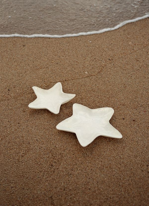 JAY42_004_1-PRATO-APOIO-ESTRELA-DO-MAR-MEDIO