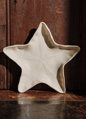 JAY42_004_2-PRATO-APOIO-ESTRELA-DO-MAR-MEDIO