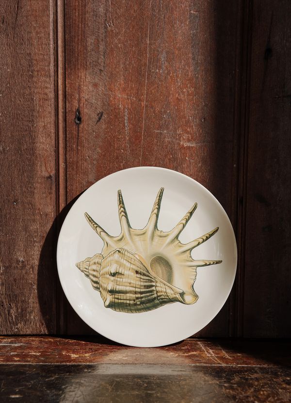 JAY25_00088_1-PRATO-SOBREMESA JAY25_00088_1-PRATO-SOBREMESA