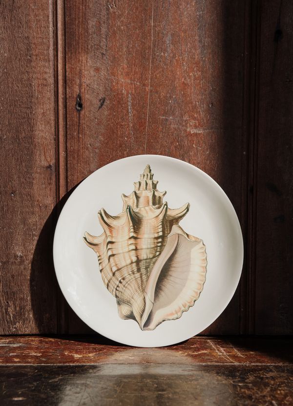 JAY27_00090_1-PRATO-SOBREMESA JAY27_00090_1-PRATO-SOBREMESA