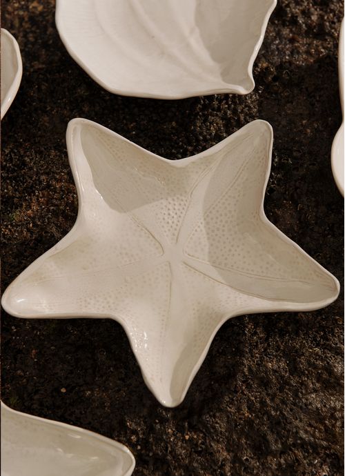 JAY41_004_1-PRATO-APOIO-ESTRELA-DO-MAR-PEQUENO